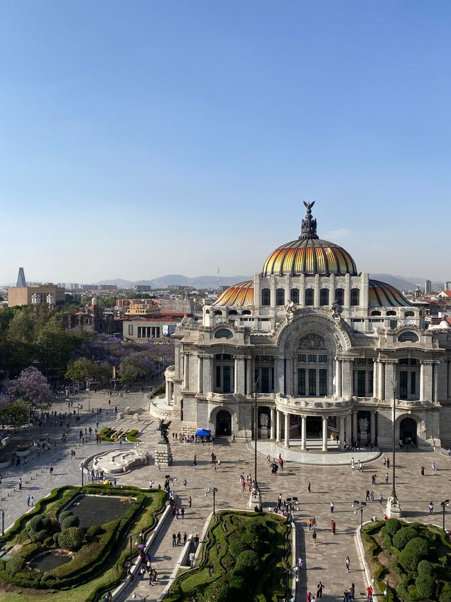 Déjeuner avec vue sur Bellas Artes