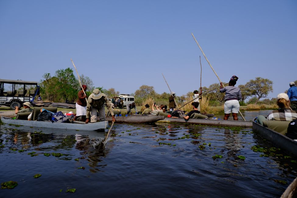 Delta del Okavango 🇧🇼