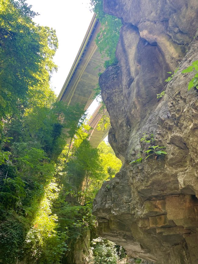 Gorges de la Thielle et vieille ville de Bienne