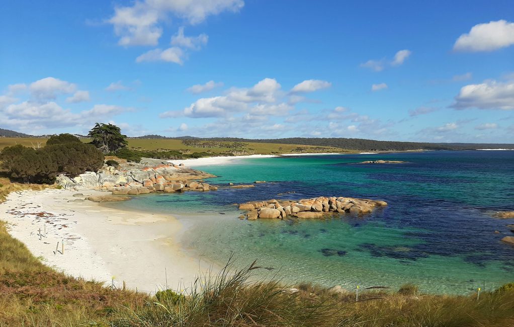- Singapur & Tasmania 2019 -