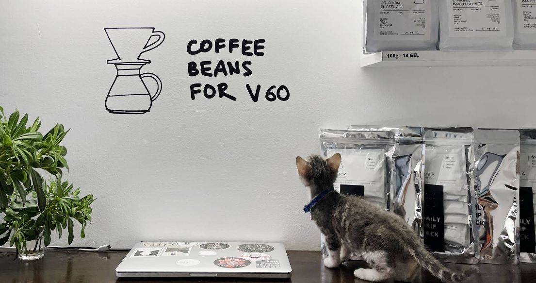 Où trouver le meilleur café à Tbilissi ?