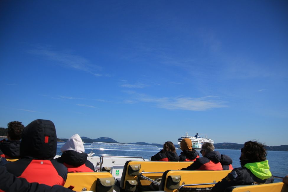 Observación de ballenas Eagle Wing