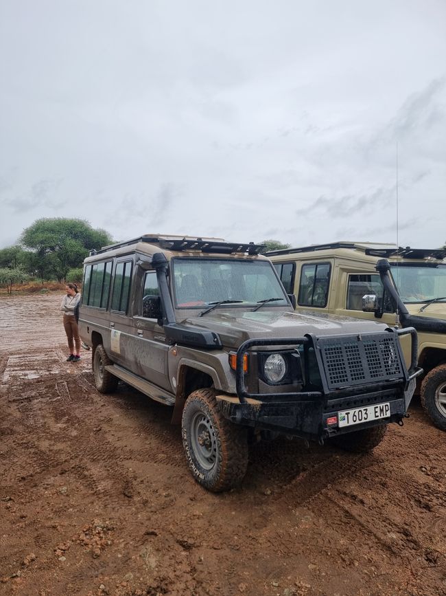 Tansania - Tag 2: Tarangire Nationalpark