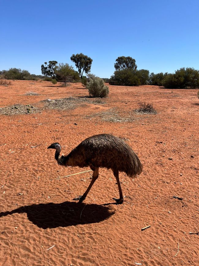 Adelaide - Darwin