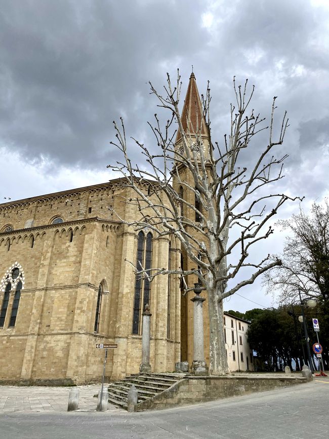Santa Domenico