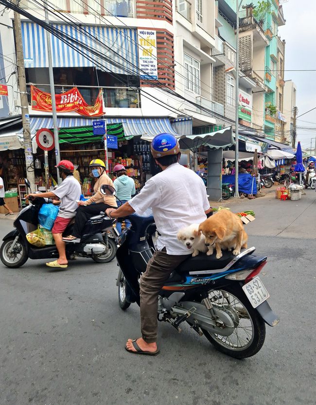 Vietnam: Ho Chi Minh & Mekong Delta