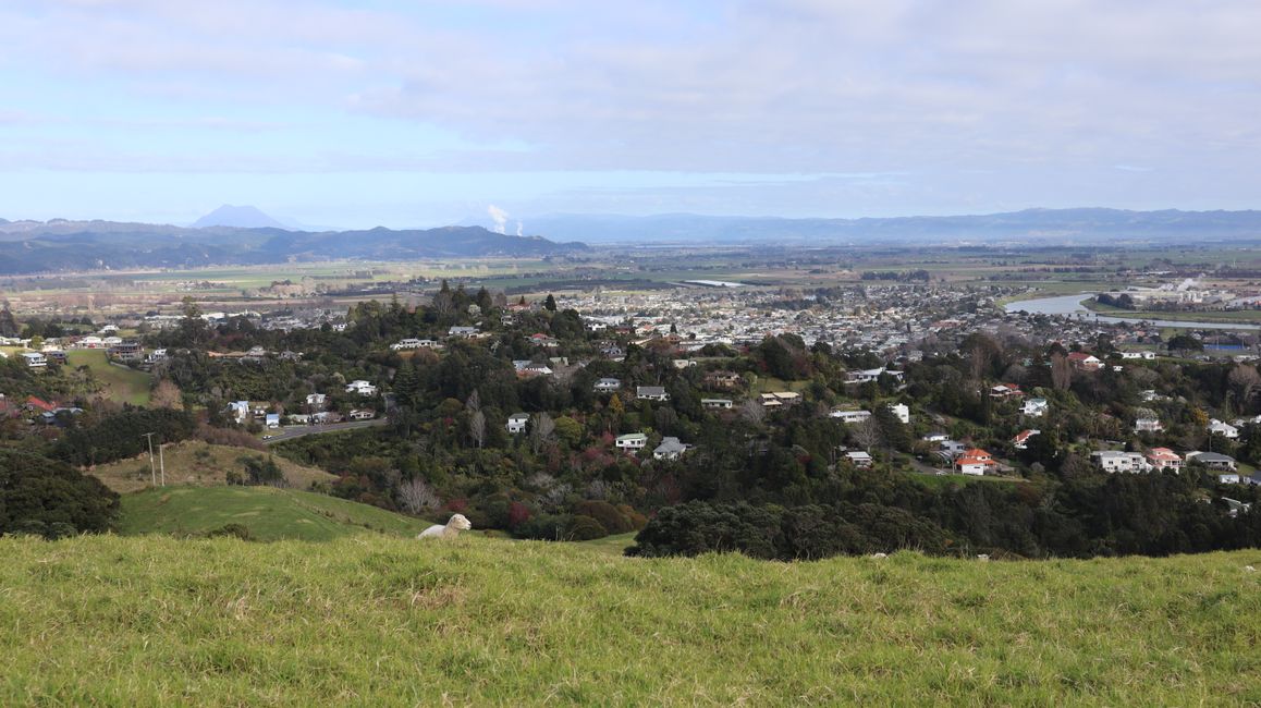 Blick über Whakatane