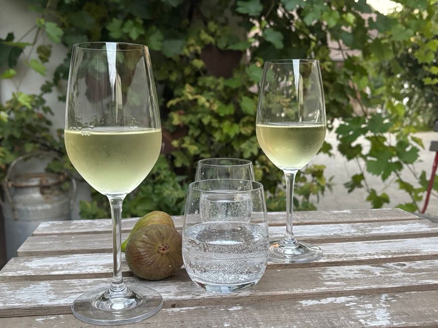 Through the Wine Region - from one winery to the next.....