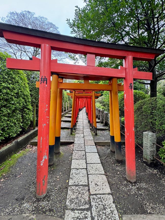 Parte 7
BENVENUTO IN GIAPPONE 🇯🇵
TOKYO