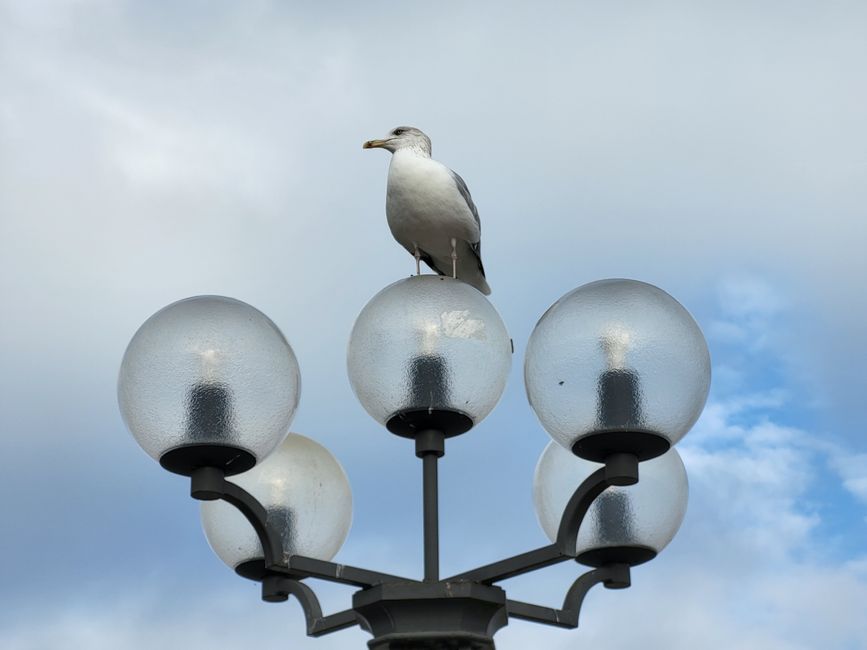 Paseo marítimo de Kühlungsborn 