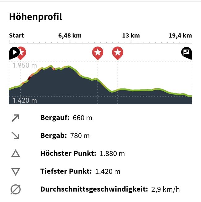Llegada a las Highlands de Cameron y caminata por el sendero de la selva y a través de las plantaciones de té