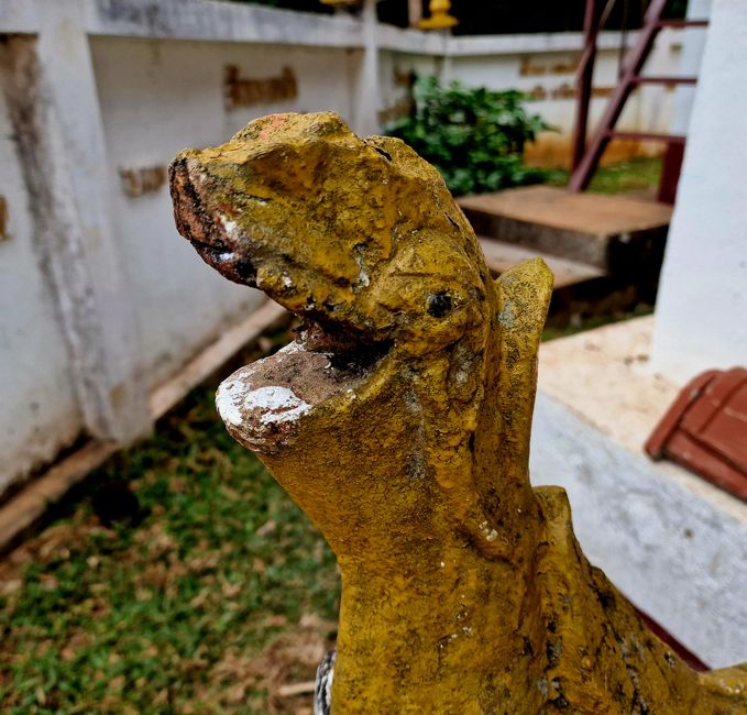 Drache mit Lächeln