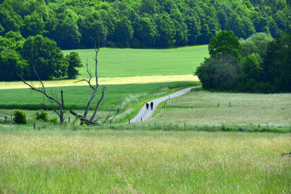 * * * S E C H T A S A F A R I - der Auerochsenweg
bei Bopfingen * * *