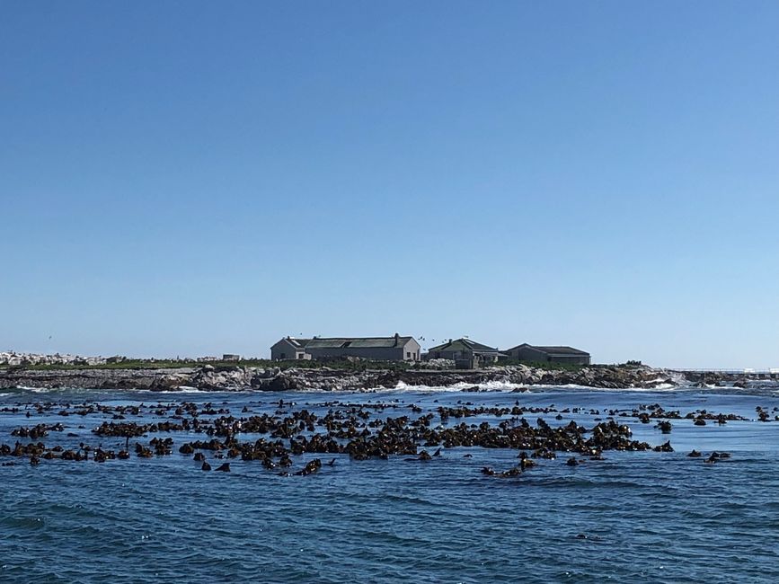 Schutzstation der Pinguine