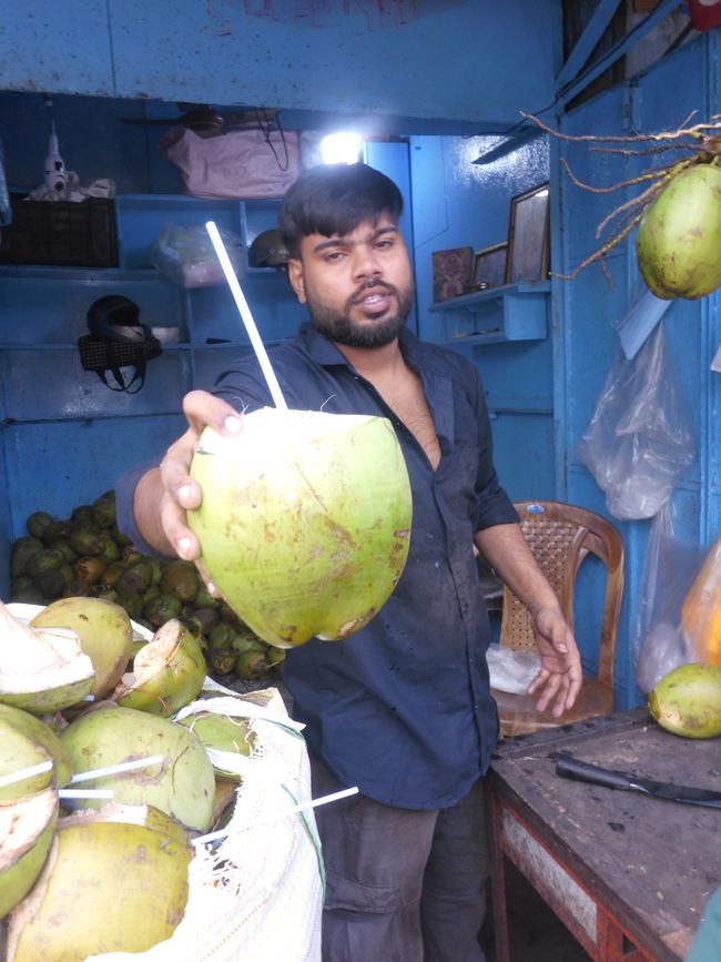 Lait de coco