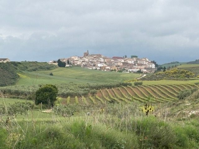8. Tag 
Puente la Reina - Estella