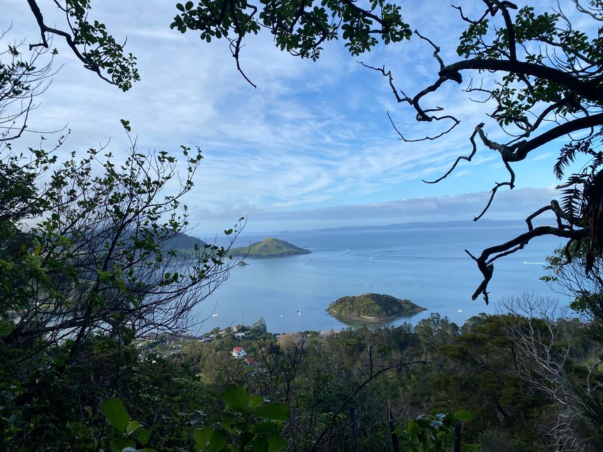 De whangarei à auckland