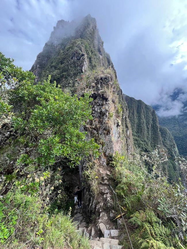 👷‍♂️标签 31-1 (3.11.) 马丘比丘，登上惠纳比丘山