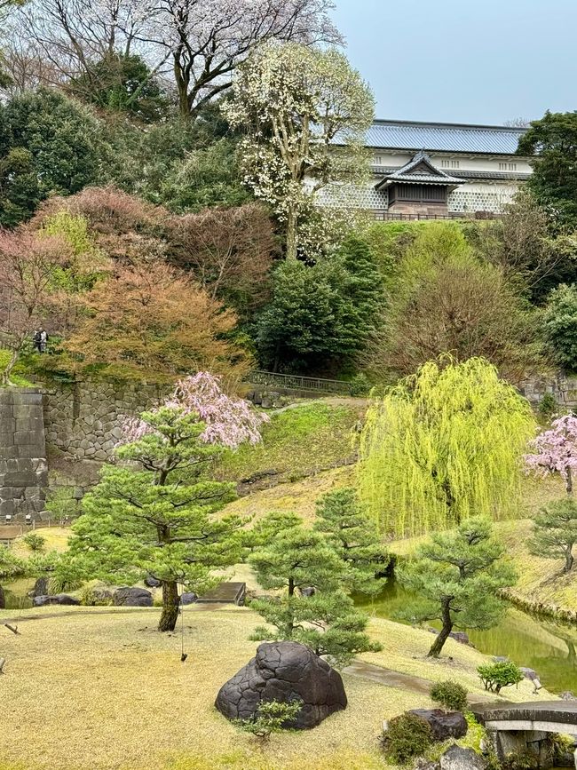 Part 8 Japan 🇯🇵 Kanazawa