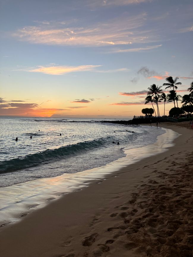 D18 - Yoga a las 7 am con Norbi y playa Poipu con focas monje, tortugas marinas y Humuhumunukunukuapua‘a