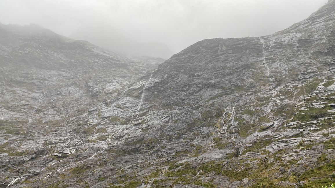 Road trip to Milford Sound