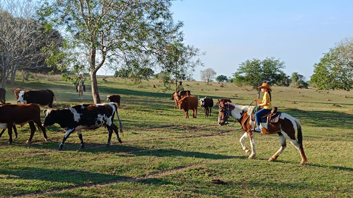 Paraguay_Caacupe_Aventura_Ranch (Juli 2025)