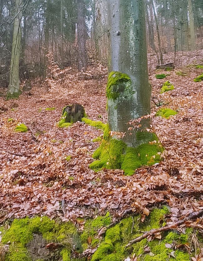 Willkommen im Friedhof der Identitäten- vom Ausblick auf Echtes statt alter Masken