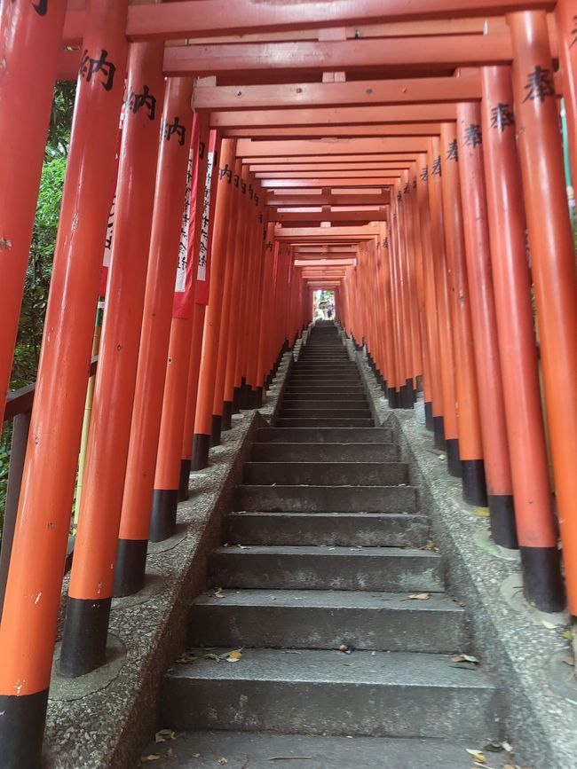 Hie-Shrine auf dem Weg nach oben - auch dieser Shrine ist gespickt mit gespendeten Torii's