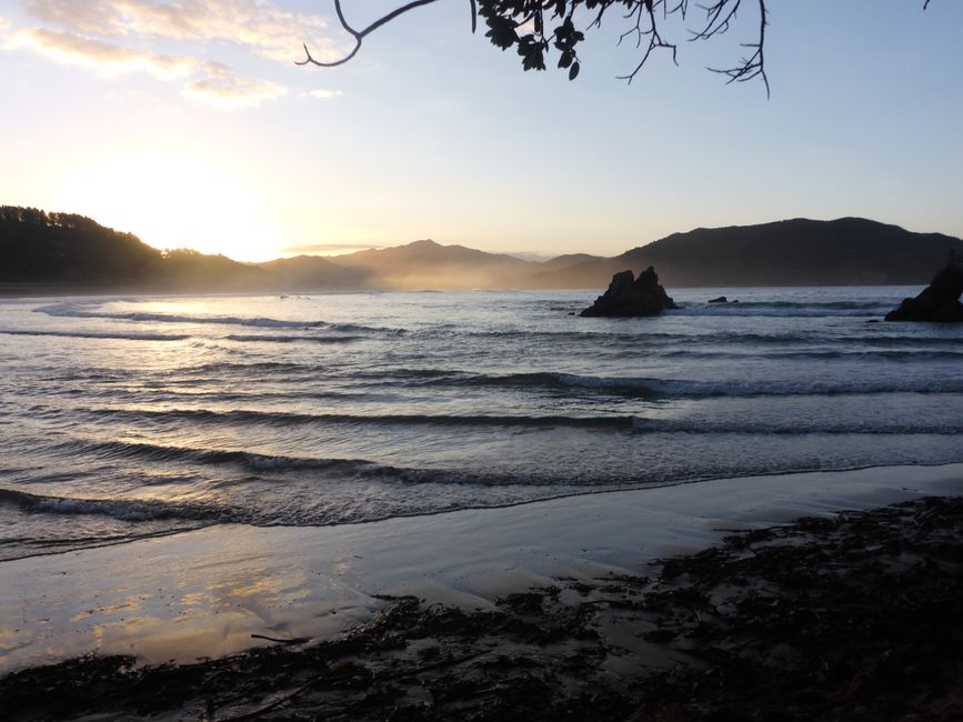 2025-04-11 NZ, Coromandel