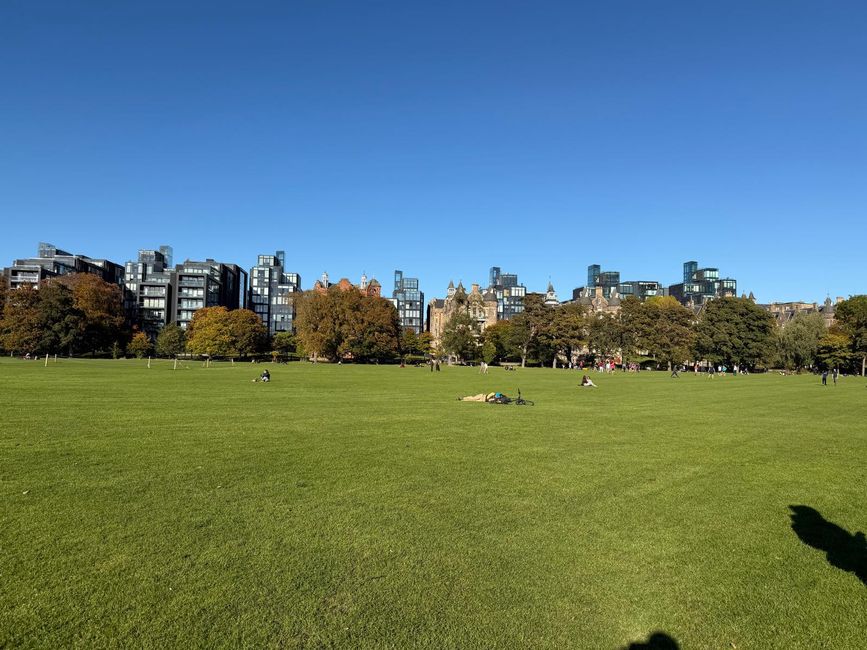 MeadowPark
