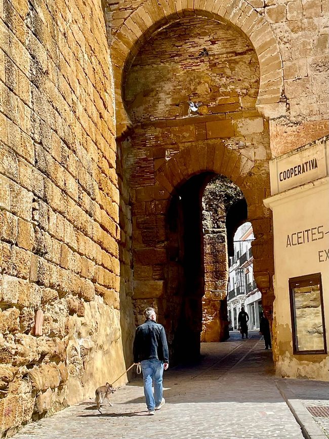 Doch man darf sich nicht täuschen lassen, die Tore sind riesig.