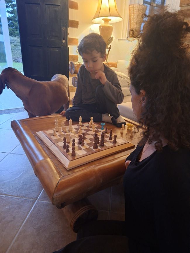 שבוע 18-19: אין חדש