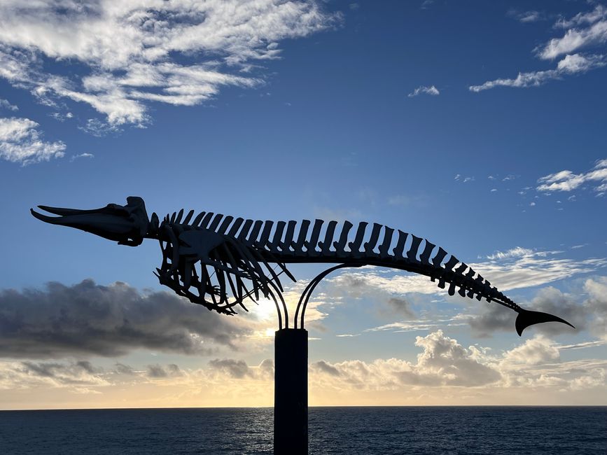 Das Wahreichen von El Cotillo - das Skelett eines am Strand angespülten Wals