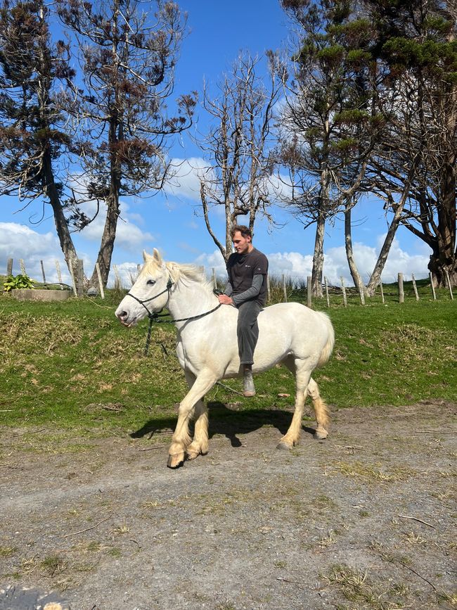 Enfermo y los últimos días en la granja