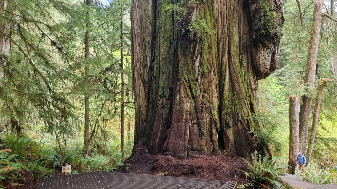 USA West Coast Roadtrip - Tag 6