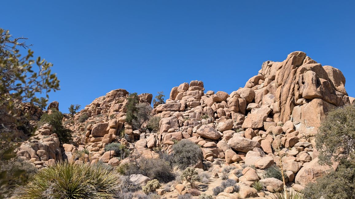 USA - Las Vegas and more ...   road trip 2025