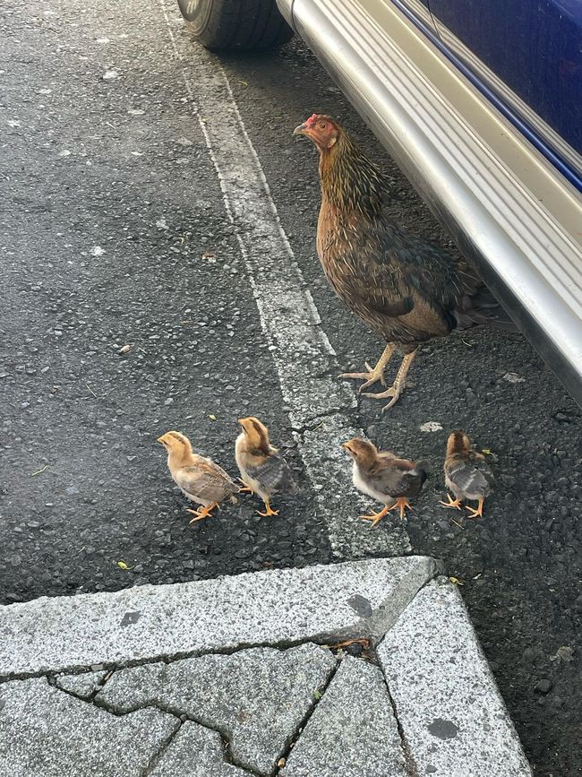Famiglia in uscita