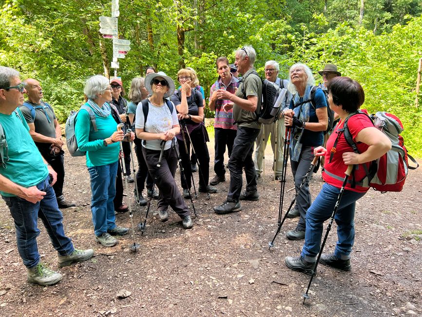 28 Wutachschlucht Pro Wolermoos