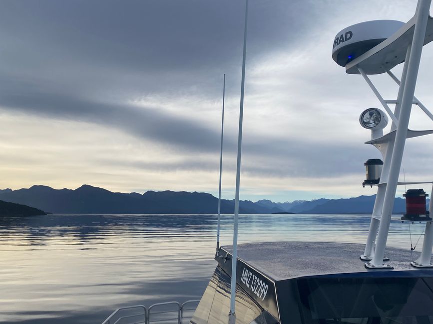 Among the glowing glowworms