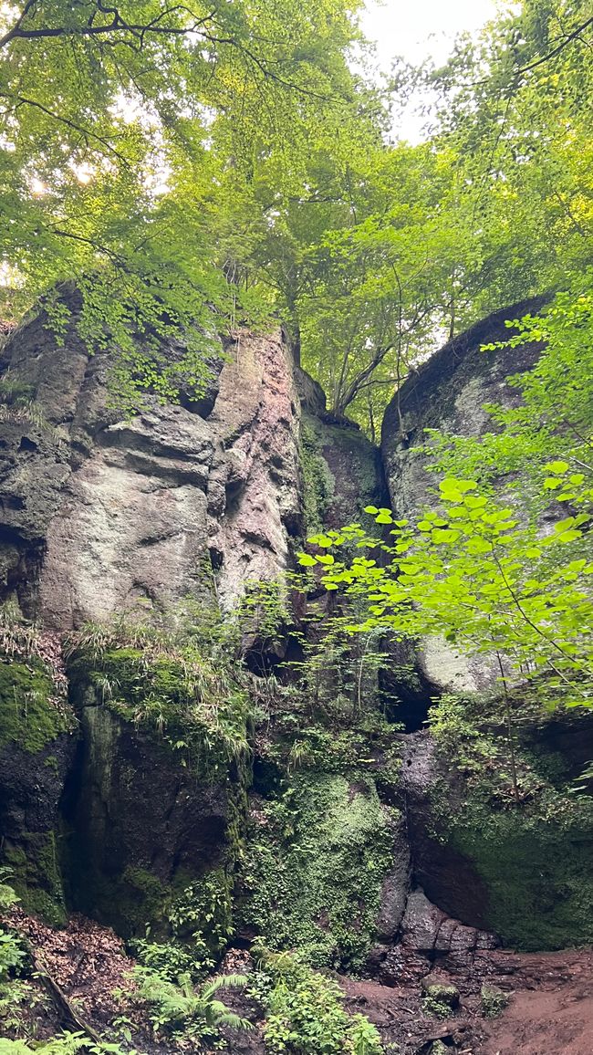 Discover Germany anew