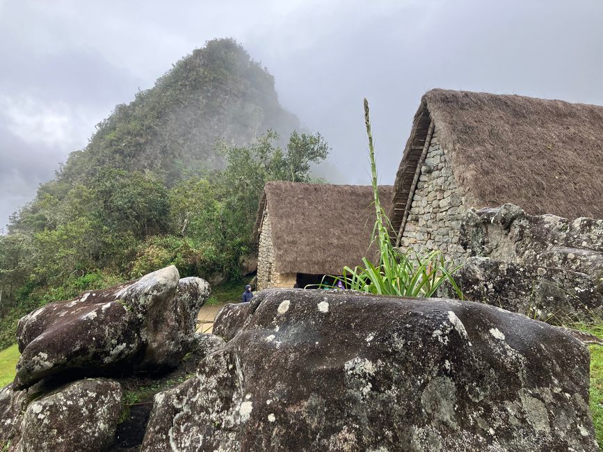 Machu Picchu - Dschungel-Abenteuer