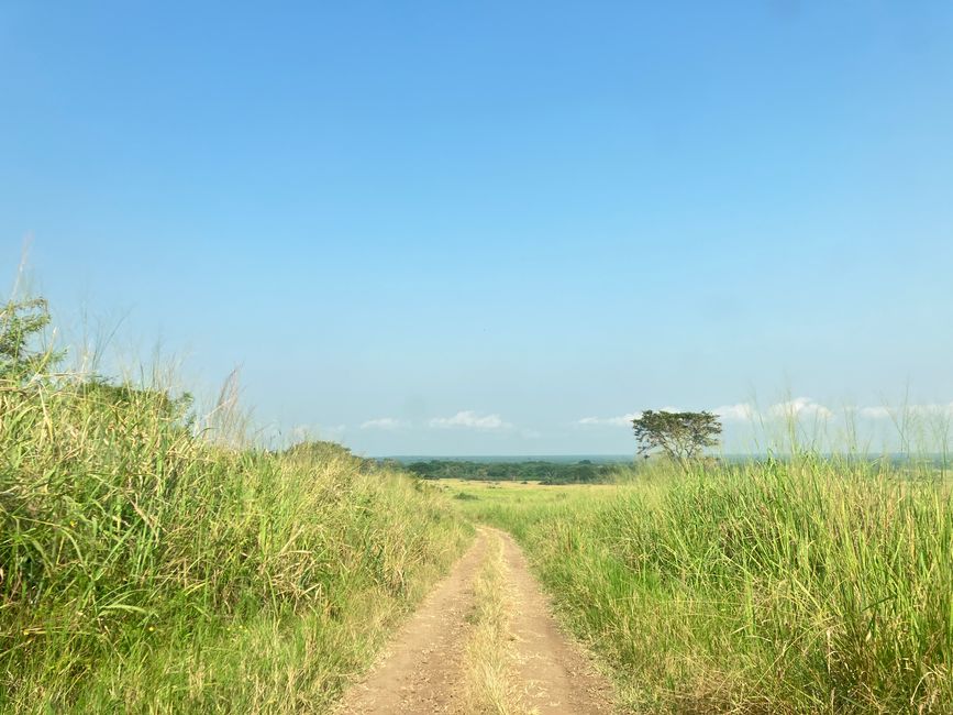 Queen Elizabeth Nationalpark