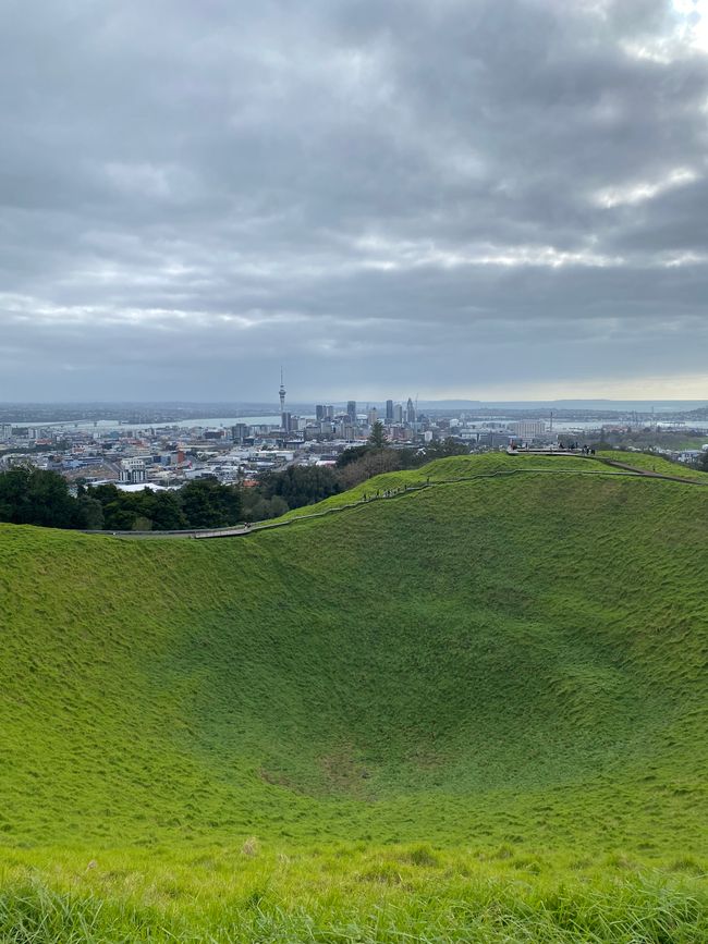 Auckland numero 1