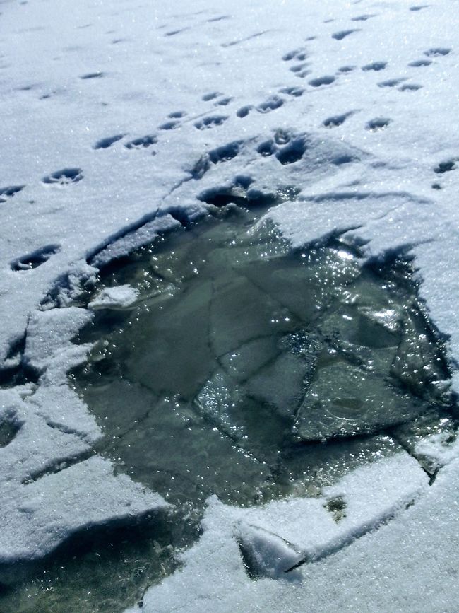 Reset - Neve di ieri, o quale fondamento vuoi costruire?