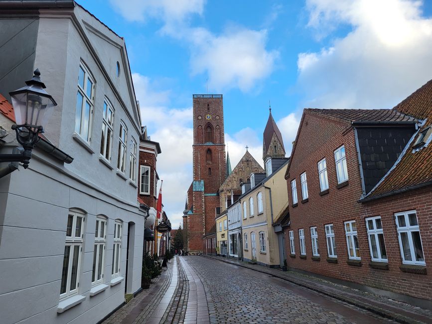 Ribe