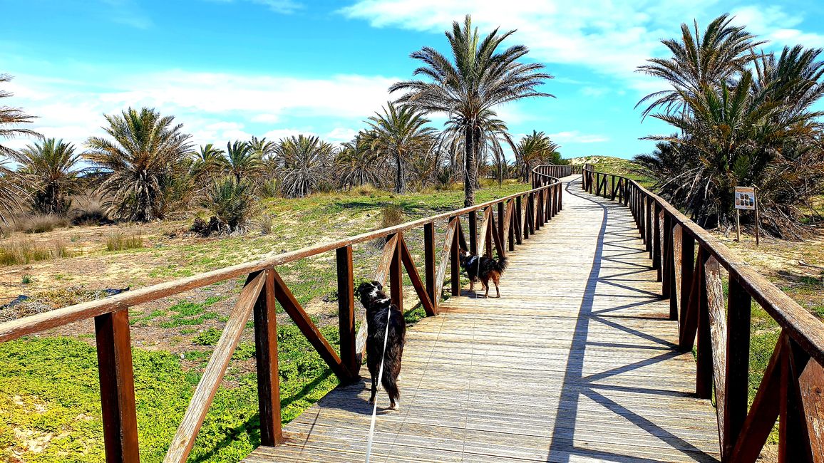 Alicante?...no grazie 609