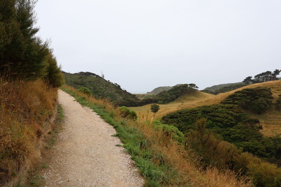 Abel Tasman