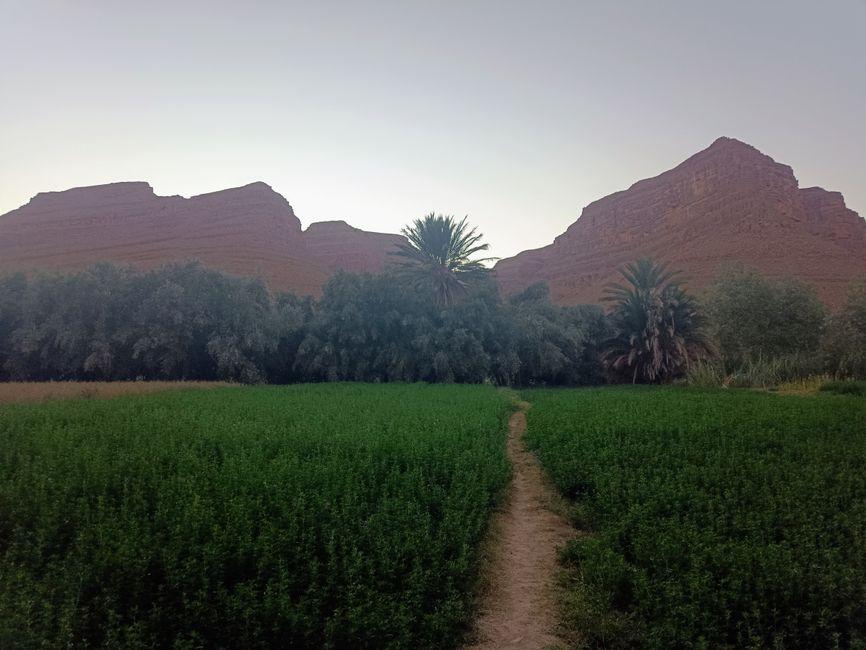 On the way to the Sahara