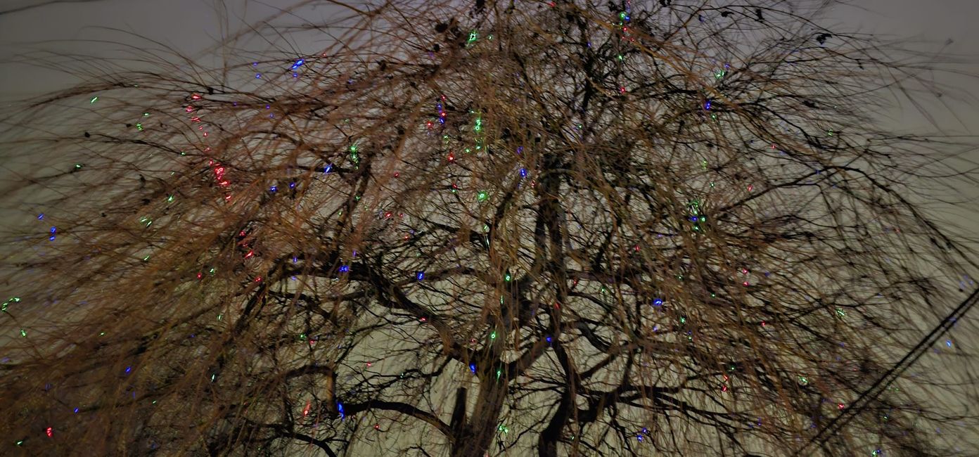 Giardino di Natale allo Zoo di Hannover
