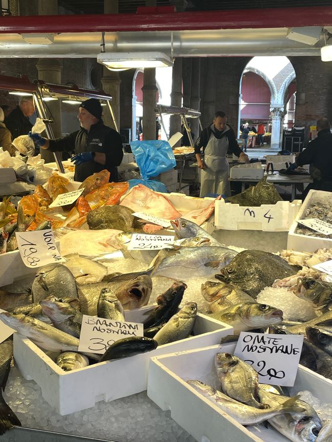 Sfilettatore di pesce